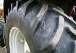 MF 6475 DYNA 6 T3 VX07 OZM 19